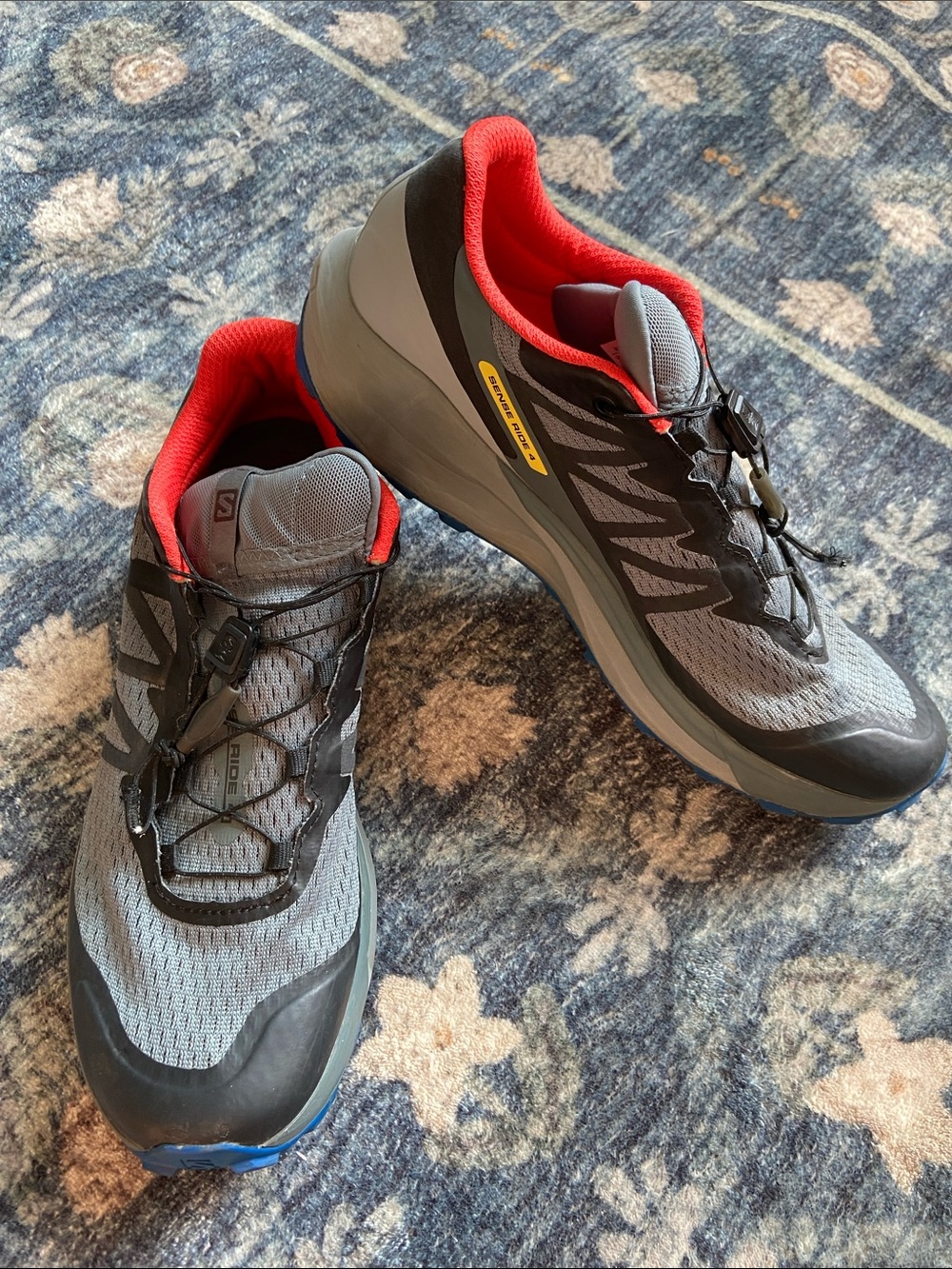 Salomon Sense Ride 4 GTX Trail Shoes
